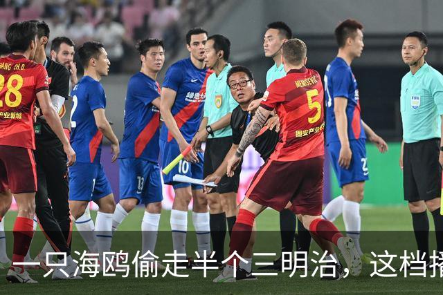 一只海鸥偷走半个三明治，这档播客如何聊到字母哥加盟热火？