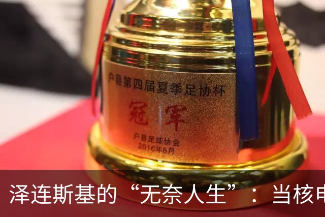 泽连斯基的“无奈人生”：当核电站变成了围城
