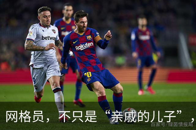 网格员，不只是“亲戚的儿子”，还有这些你不知道的事儿！